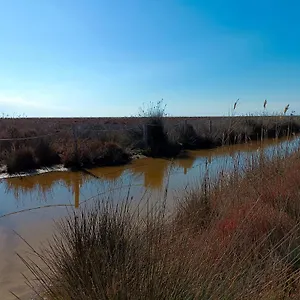Rincon Del Delta, En El Delta Del Ebro, Playa Trabucador Amposta, Tarragona , L'Eucaliptus España